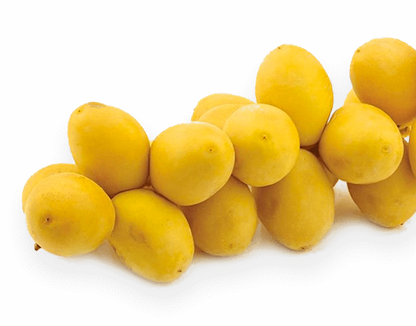 All About Yellow Barhi Dates