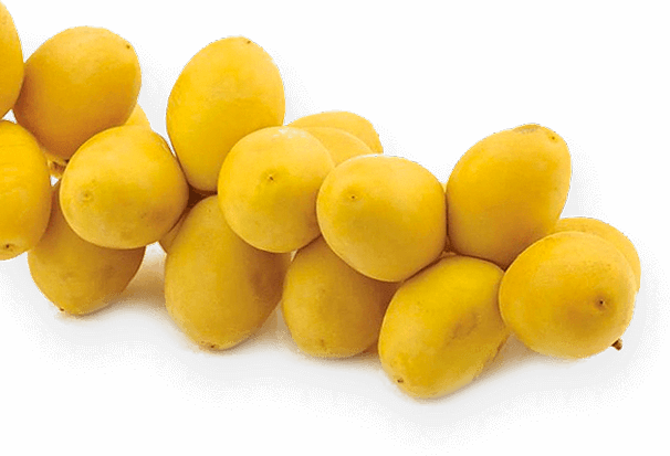 7 Lbs Fresh Yellow Barhi Dates From California - Gluten-Free, Vegan, All-Natural Dried Fruit